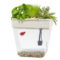 Great Aquaponics Starter Kits for Hobbyists